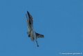 f16-g91_3077