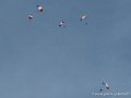 paras-g91_3306