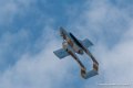 bronco_2479