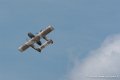 bronco_2499