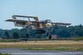 bronco_3482