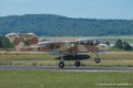 bronco_3485