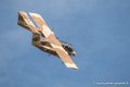 bronco_4111
