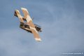 bronco_4112