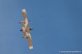 bronco_4115