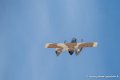 bronco_4126