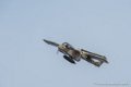 bronco_4135