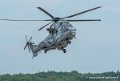 caracal_2126