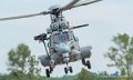 caracal_2130