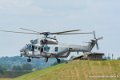 caracal_2509