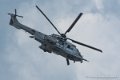 caracal_2528