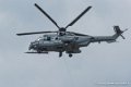 caracal_2529