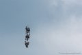 caracal_2530