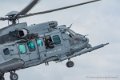 caracal_2533