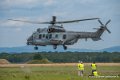 caracal_3942