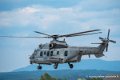 caracal_3943
