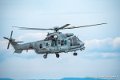 caracal_4006