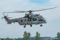 caracal_4009
