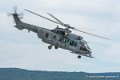 caracal_4010