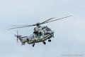 caracal_4015