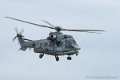 caracal_4022