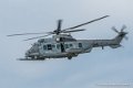 caracal_4031