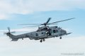 caracal_4035