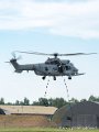 caracal_4036