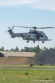 caracal_4037