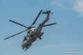 caracal_4077