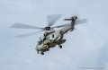 caracal_4091