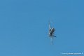 f18_1716