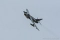 hunter_2174