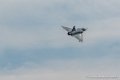 mirage2000-interception_2238