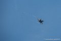 mirage-2000_3762