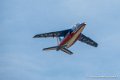 paf_3806