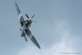 spitfire_2658