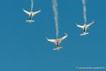 acro-eze_7001