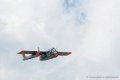 bronco_7106