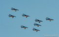 paf_7751