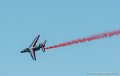 paf_7817