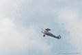 stampe_6947