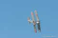 stampe_6948