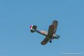 stampe_6949