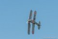 stampe_6950