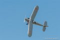 stampe_6951