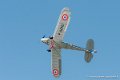 stampe_6953