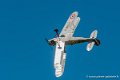 stampe_6954
