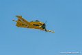 t28_7391