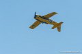t28_7394